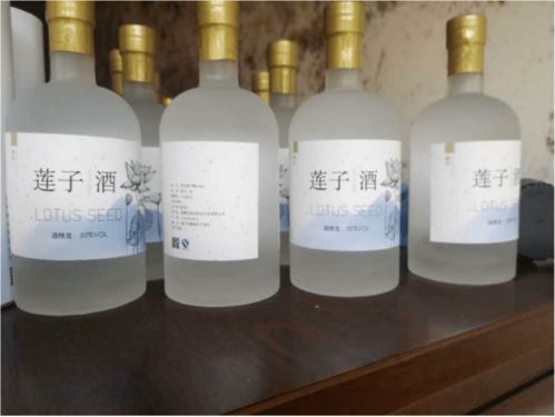 中國福文化IP創(chuàng)意設(shè)計大賽 建德乾潭研創(chuàng)營圓滿落幕