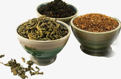 金熊貓?zhí)J筍茶加盟總部實(shí)力如何?培訓(xùn)優(yōu)勢(shì)有哪些?
