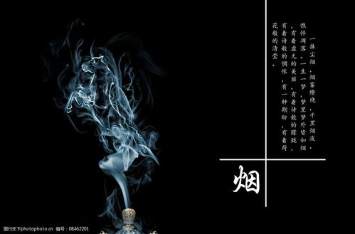 關(guān)于煙的畫冊(cè)內(nèi)頁(yè)設(shè)計(jì)圖片圖片-